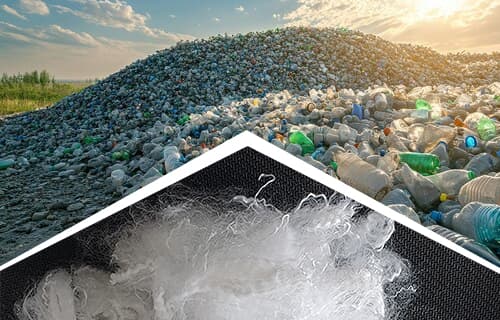 Low Bisphenol A Offerings