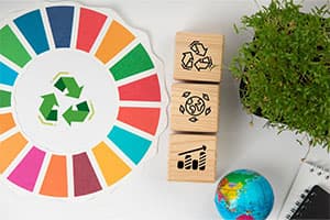 Brands with sustainability goals and circular material commitments